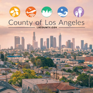 LA County CEO