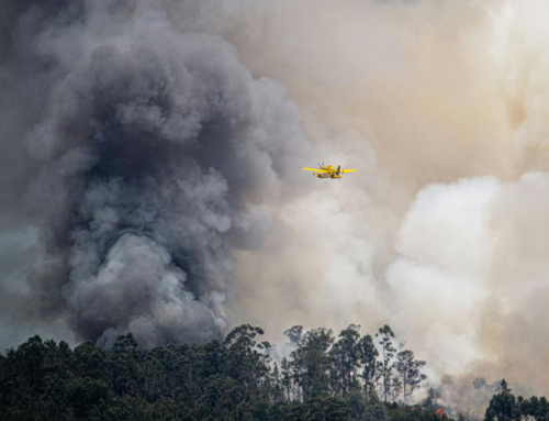 California Legislature Convenes in Light of Wildfire Disasters, Focusing on Key Housing Themes