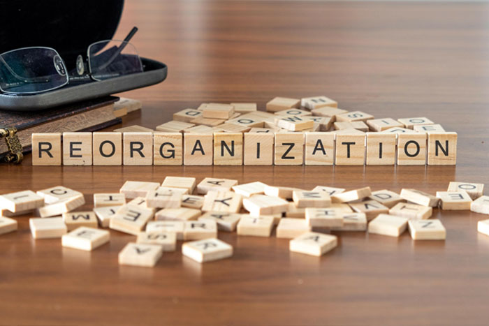 Reorganization